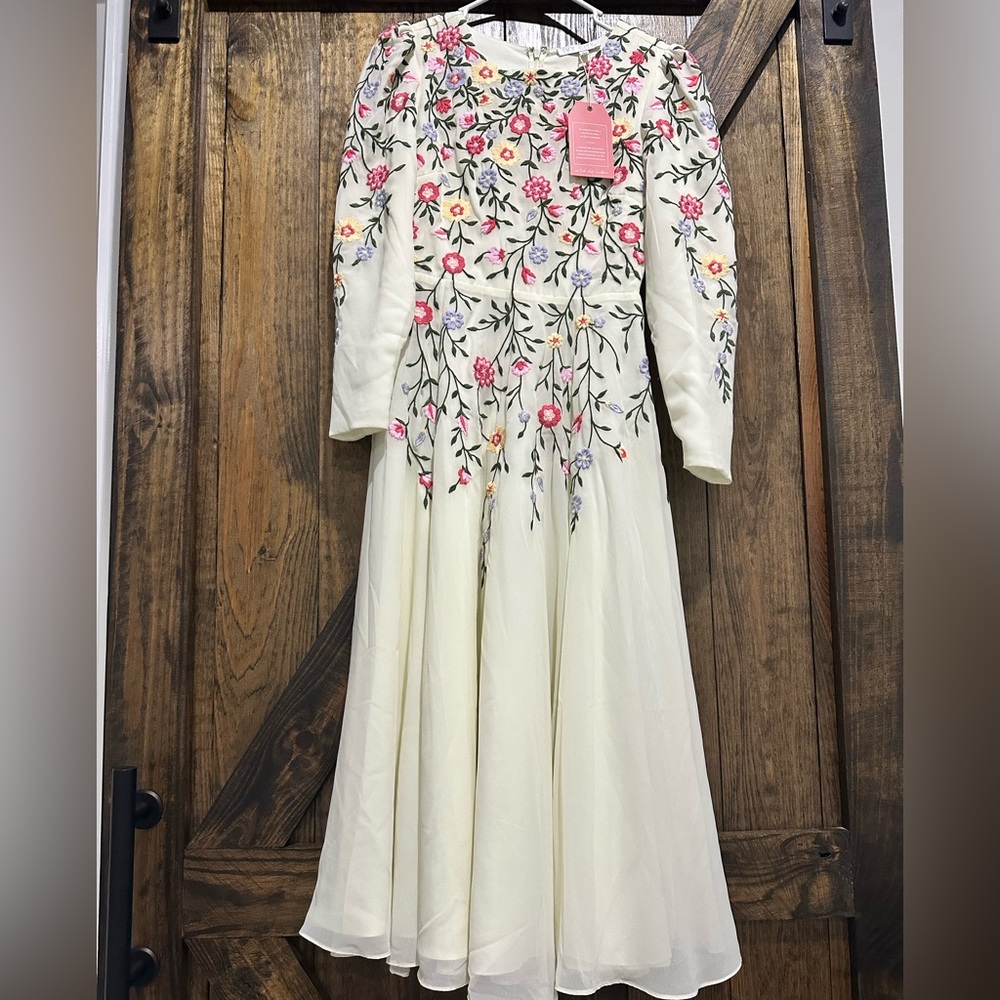 Ivy City Co. formal dress - Size XS